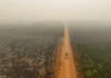 Amazonas registra 21,6 mil queimadas em 2024 e tem o pior índice em 26 anos, aponta Inpe