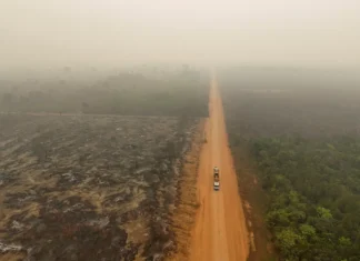 Amazonas registra 21,6 mil queimadas em 2024 e tem o pior índice em 26 anos, aponta Inpe