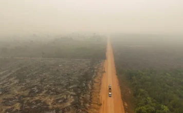 Amazonas registra 21,6 mil queimadas em 2024 e tem o pior índice em 26 anos, aponta Inpe