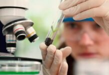 Prêmio de Ciência voltado para mulheres e meninas abre inscrições