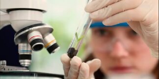 Prêmio de Ciência voltado para mulheres e meninas abre inscrições