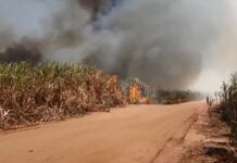 Com máxima de 36º C, Defesa Civil alerta para risco de queimadas na região de Sorocaba