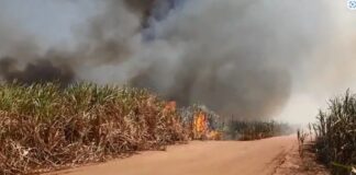 Com máxima de 36º C, Defesa Civil alerta para risco de queimadas na região de Sorocaba