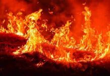 Incêndio de grandes proporções atinge Parque Nacional de Brasília