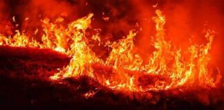 Incêndio de grandes proporções atinge Parque Nacional de Brasília