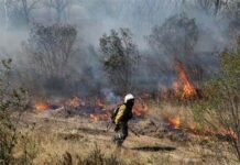 Rio de Janeiro tem o maior número de queimadas desde 2017