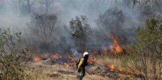 Rio de Janeiro tem o maior número de queimadas desde 2017