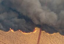 Impacto das queimadas afeta mais produtores rurais do que empresas agrícolas, estimam analistas