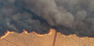 Impacto das queimadas afeta mais produtores rurais do que empresas agrícolas, estimam analistas