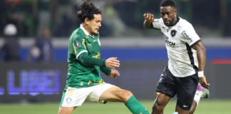 Palmeiras e Botafogo jogam por liderança do Campeonato Brasileiro