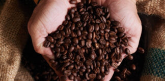 Preço do café aumenta e atinge o maior valor desde 1977