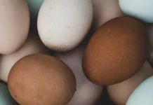 Preço do ovo salta 40% no atacado e associação acende alerta