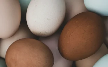 Preço do ovo salta 40% no atacado e associação acende alerta