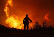 Incêndio de grandes proporções atinge residência com mais de 80 animais na divisa entre Bragança Paulista e Vargem