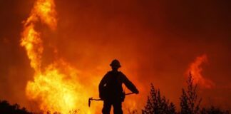 Incêndio de grandes proporções atinge residência com mais de 80 animais na divisa entre Bragança Paulista e Vargem