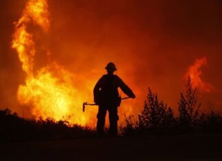 Incêndio de grandes proporções atinge residência com mais de 80 animais na divisa entre Bragança Paulista e Vargem