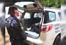 Foragida da Justiça tenta se passar pela irmã para escapar de abordagem da PM em Jundiaí