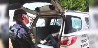 Foragida da Justiça tenta se passar pela irmã para escapar de abordagem da PM em Jundiaí