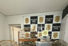 Polícia Civil apreende aves silvestres e cobras exóticas em operação contra crimes ambientais em Itu e Salto (SP)