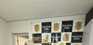 Polícia Civil apreende aves silvestres e cobras exóticas em operação contra crimes ambientais em Itu e Salto (SP)