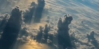 NASA divulga imagem deslumbrante do Rio Amazonas vista do espaço