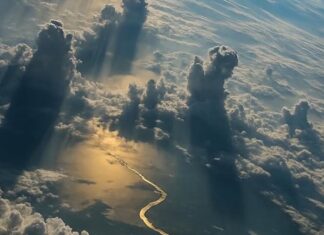 NASA divulga imagem deslumbrante do Rio Amazonas vista do espaço