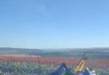 Aeronave da Esquadrilha da Fumaça cai em Santa Rita do Passa Quatro