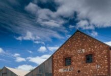 Maior encontro de Honda Civic do Brasil acontece neste domingo em Jundiaí