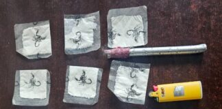 Homem de 26 anos é preso por tráfico de drogas no Jardim Corcovado, em Campo Limpo Paulista