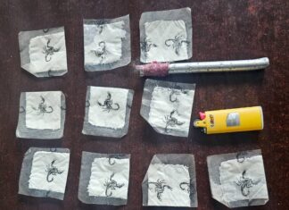 Homem de 26 anos é preso por tráfico de drogas no Jardim Corcovado, em Campo Limpo Paulista