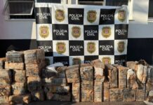 Polícia Civil encontra poço que escondia quase 1 tonelada de maconha no interior de SP