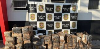 Polícia Civil encontra poço que escondia quase 1 tonelada de maconha no interior de SP