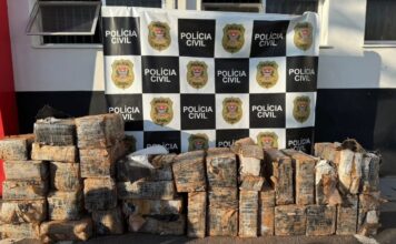 Polícia Civil encontra poço que escondia quase 1 tonelada de maconha no interior de SP
