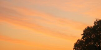 Homem caminha 450 km após briga com a esposa.