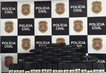 DISE apreende 100 kg de maconha, apelidada de “maconha do Hulk”, em área de mata em Jundiaí