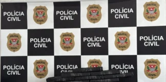 DISE apreende 100 kg de maconha, apelidada de “maconha do Hulk”, em área de mata em Jundiaí