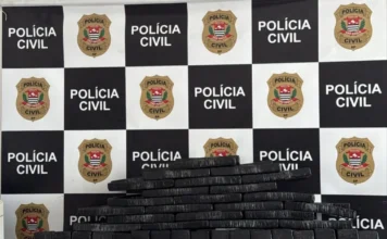 DISE apreende 100 kg de maconha, apelidada de “maconha do Hulk”, em área de mata em Jundiaí