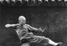 Prefeitura de Campo Limpo Paulista oferece aulas gratuitas de Kung Fu