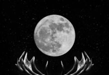 “Lua do veado” ilumina o céu nesta quinta-feira com espetáculo celeste