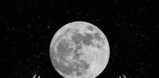 “Lua do veado” ilumina o céu nesta quinta-feira com espetáculo celeste