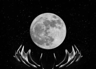 “Lua do veado” ilumina o céu nesta quinta-feira com espetáculo celeste