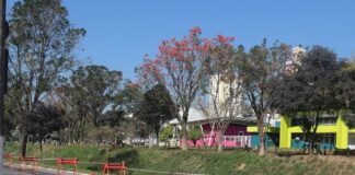 Obra concluída na Av. João Amato reforça segurança viária em Campo Limpo Paulista