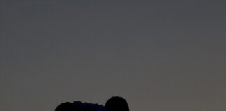 Câmara dos Deputados aprova ampliação da licença-paternidade para 15 dias