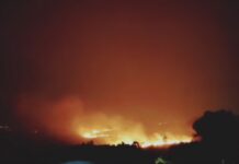 Defesa Civil e Bombeiros controlam incêndio em vegetação em Várzea Paulista