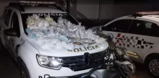 Polícia Militar estoura estoque de drogas em Louveira: mais de mil porções apreendidas e jovem de 18 anos preso em flagrante