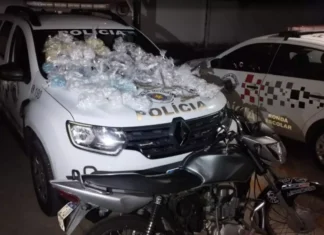Polícia Militar estoura estoque de drogas em Louveira: mais de mil porções apreendidas e jovem de 18 anos preso em flagrante