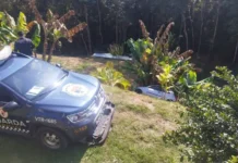 Motorista drogado foge da Guarda Municipal, colide em viatura e cai em ribanceira em Jundiaí