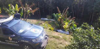 Motorista drogado foge da Guarda Municipal, colide em viatura e cai em ribanceira em Jundiaí