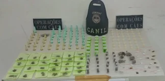 Canil da Guarda Municipal Desarticula Tráfico na Fazenda Grande