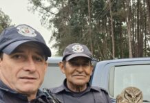 Coruja com asa fraturada é resgatada pelo GAPA da GCM de Vinhedo